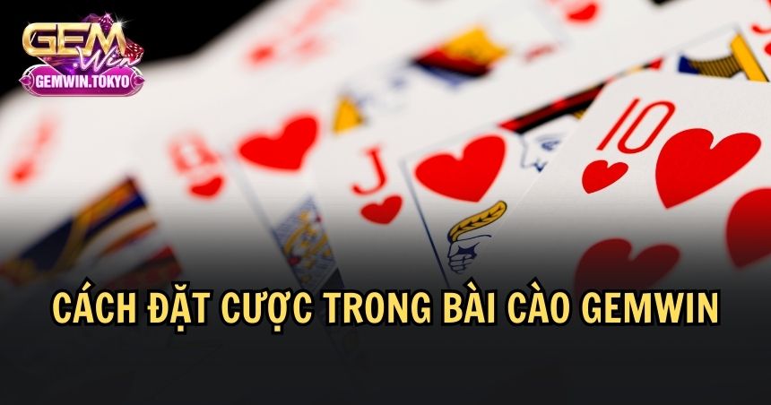 Quy trình đặt cược đơn giản